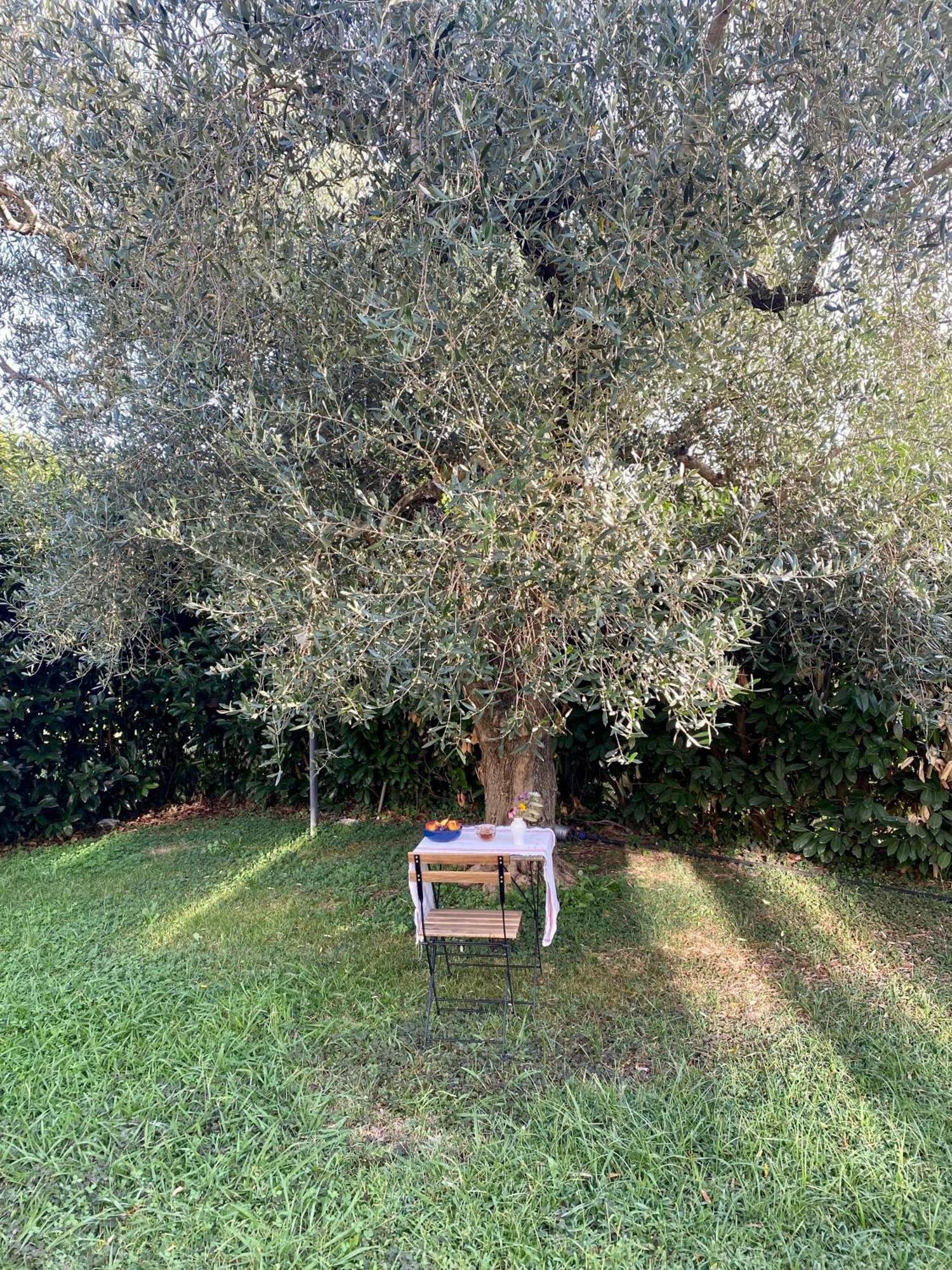 La Locanda Del Tevere Fiano Romano Extérieur photo