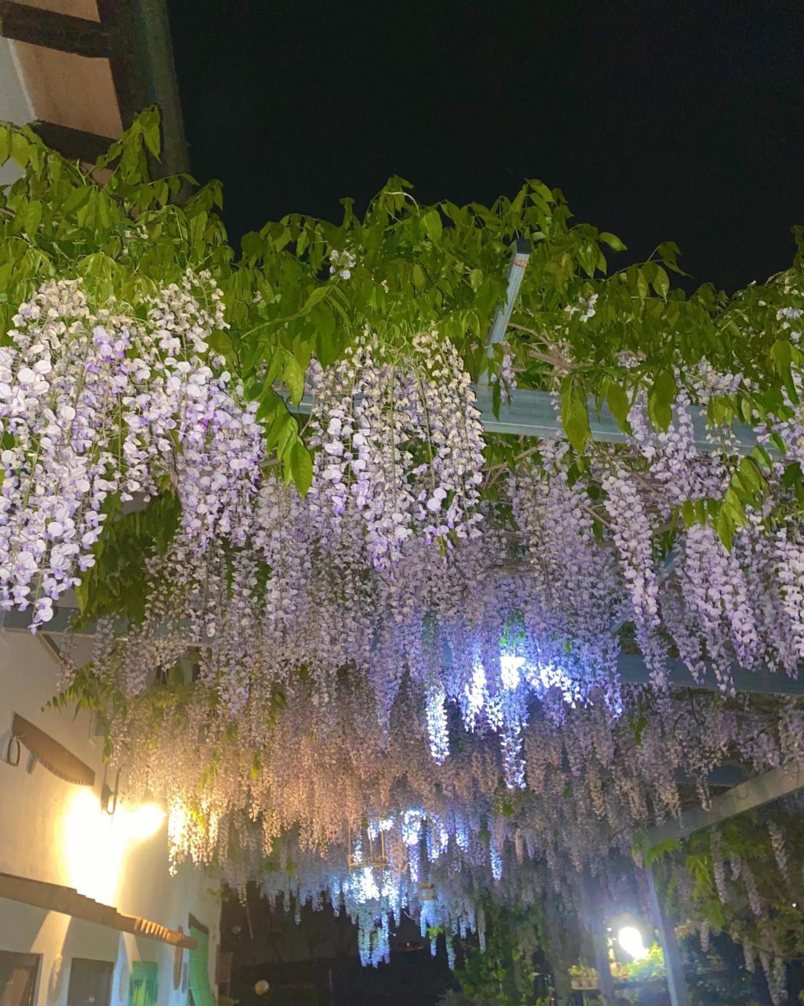 La Locanda Del Tevere Fiano Romano Extérieur photo